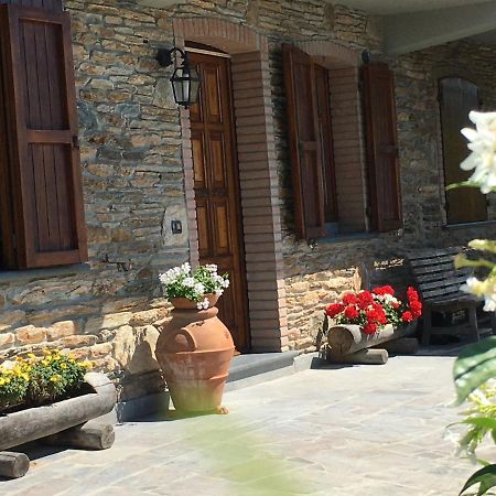Gelsomini Villa Massa  Dış mekan fotoğraf