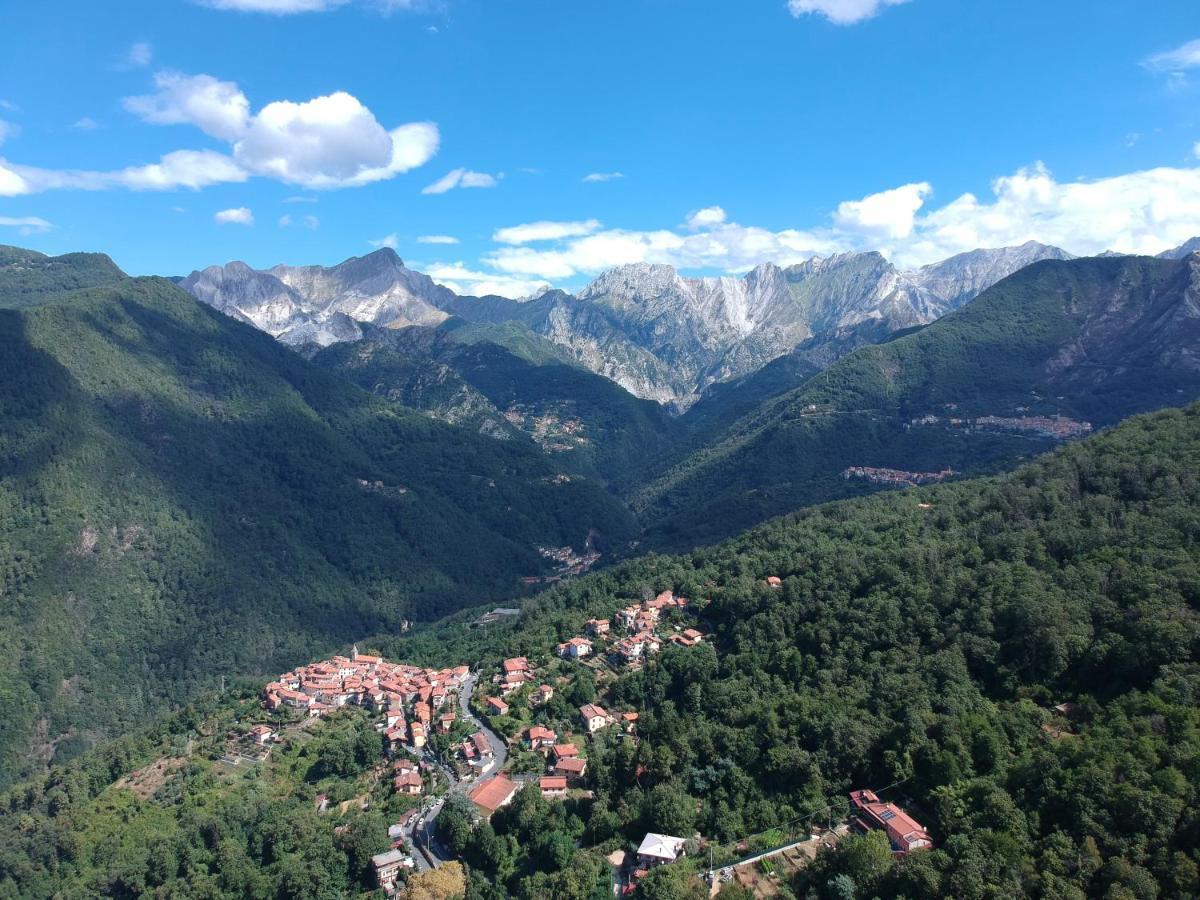Gelsomini Villa Massa  Dış mekan fotoğraf